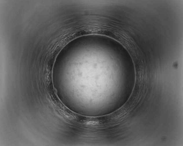 X0000116370653200912161439