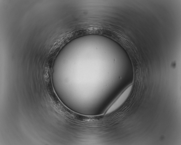 X0000116370654200912161439