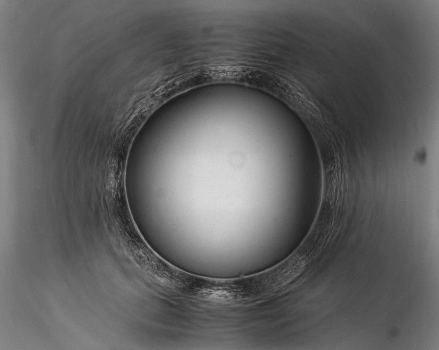 X0000116370655200912161439