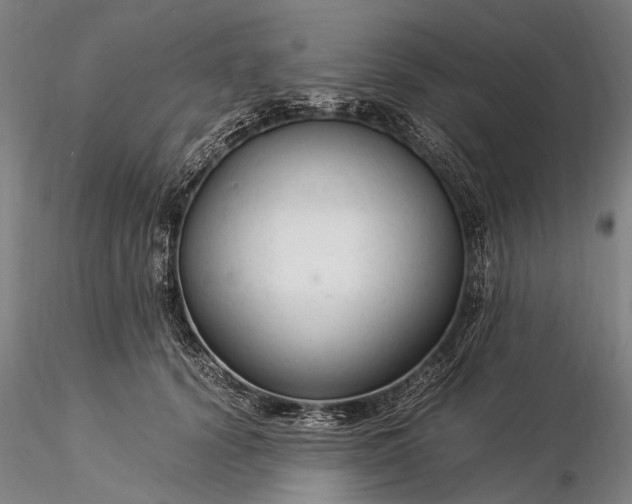 X0000116370656200912161439