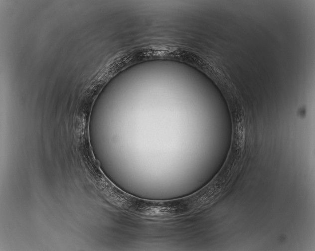 X0000116370657200912161439