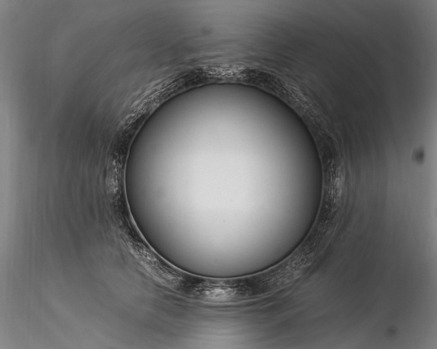 X0000116370658200912161439