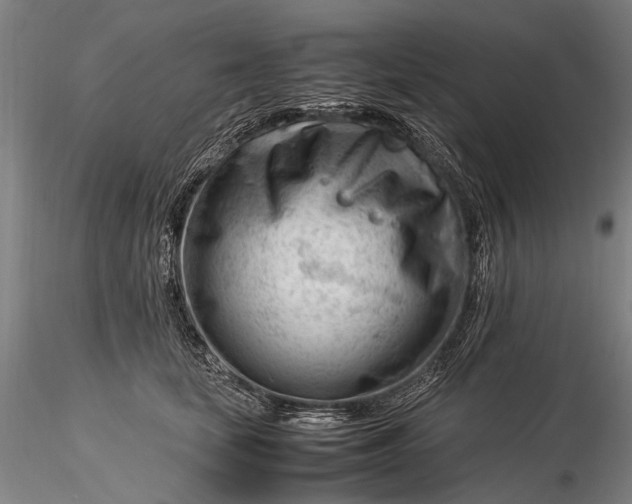 X0000116370659200912161439