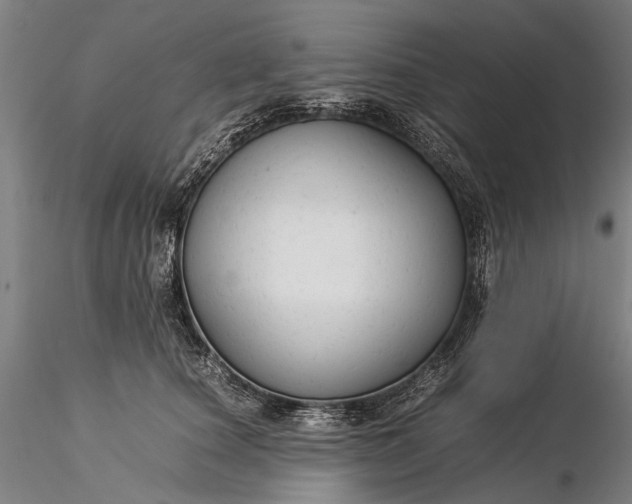 X0000116370660200912161439