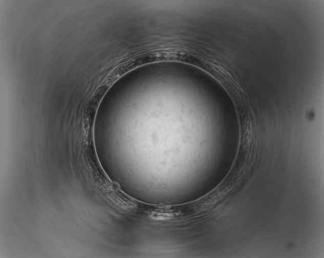 X0000116370661200912161439