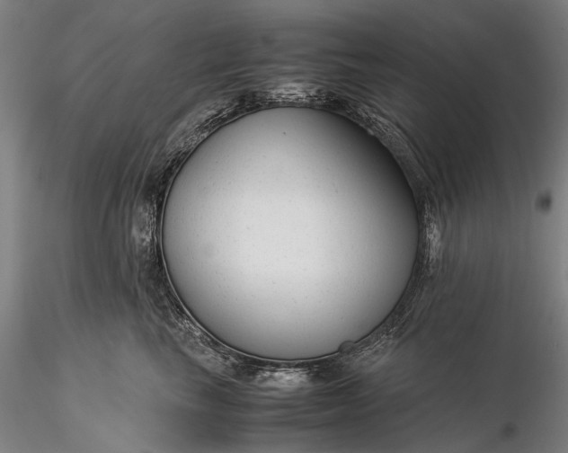 X0000116370665200912161439