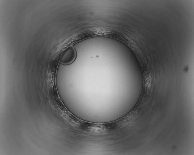 X0000116370666200912161439