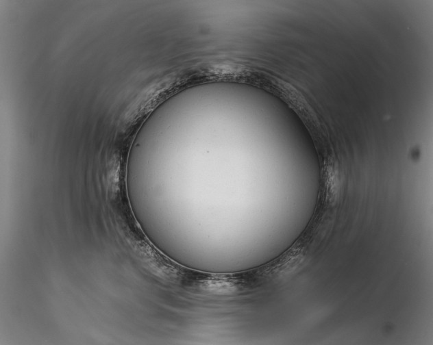 X0000116370668200912161439