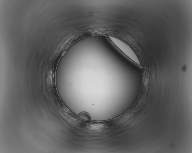 X0000116370669200912161439