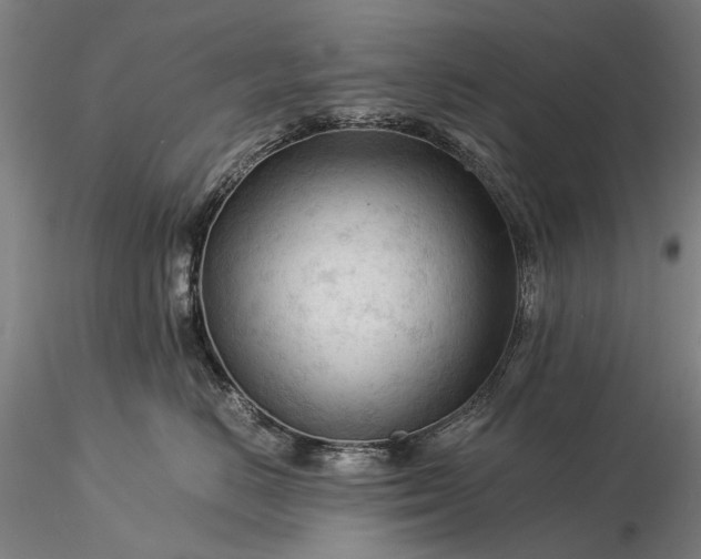 X0000116370670200912161439