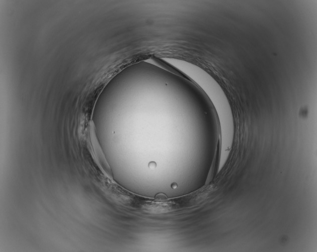 X0000116370671200912161439