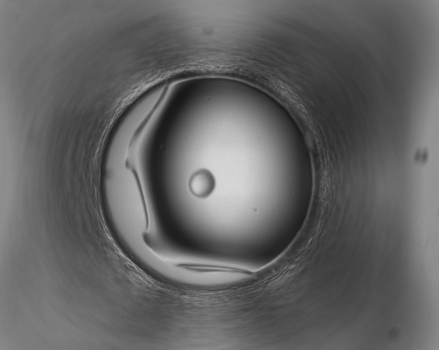 X0000116370673200912161439