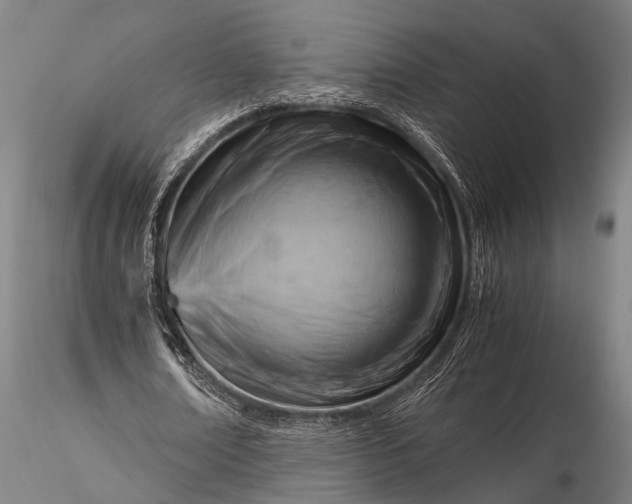 X0000116370674200912161439