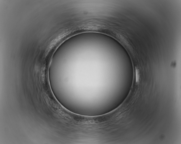 X0000116370675200912161439