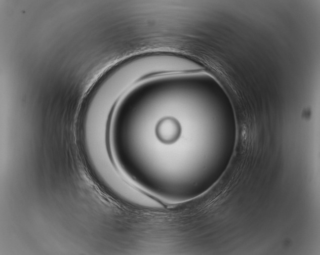 X0000116370676200912161439