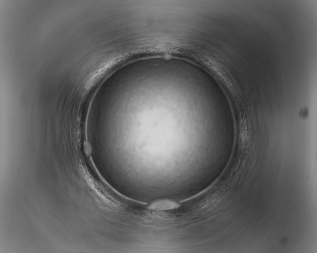 X0000116370677200912161439