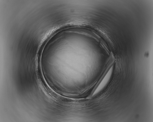 X0000116370678200912161439