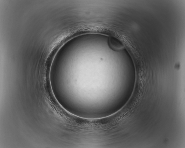 X0000116370679200912161439