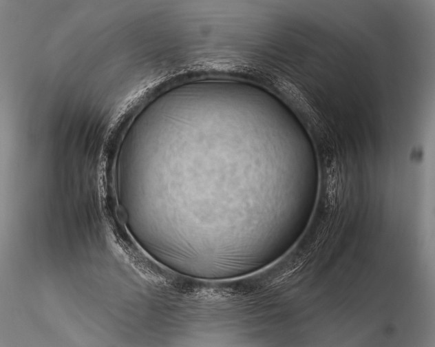 X0000116370680200912161439