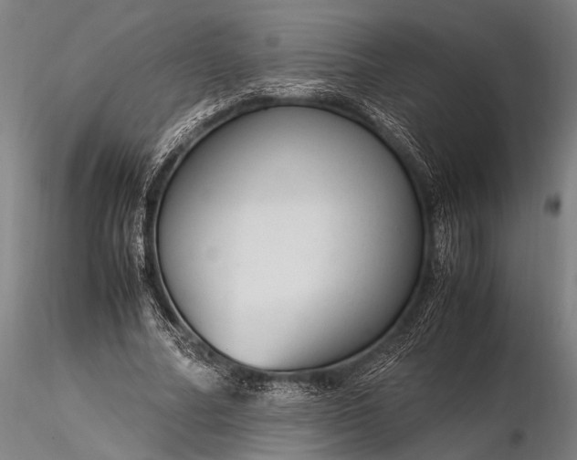 X0000116370682200912161439