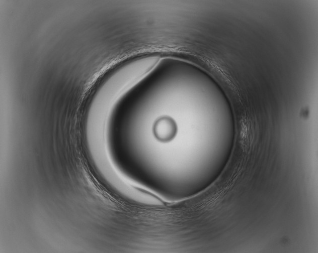 X0000116370684200912161439