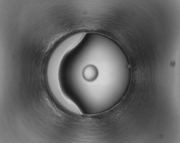 X0000116370688200912161439