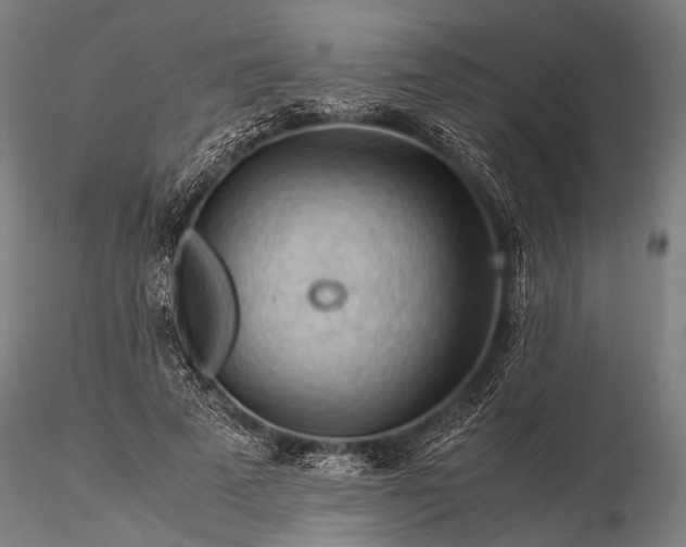 X0000116370689200912161438