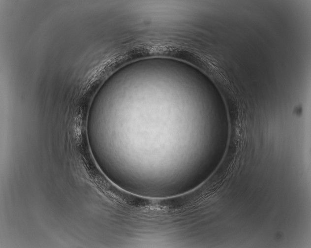 X0000116370691200912161438