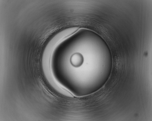 X0000116370692200912161438