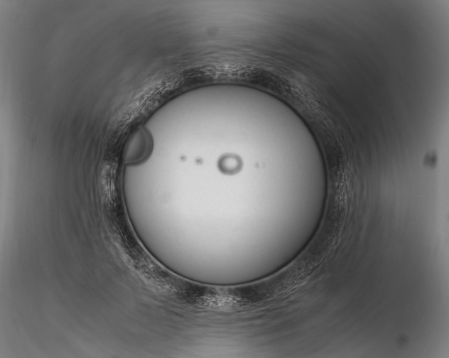 X0000116370695200912161438