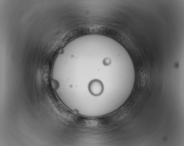 X0000116370698200912161438