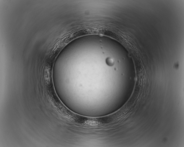 X0000116370699200912161438