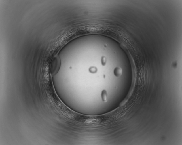 X0000116370700200912161438