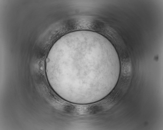 X0000116370701200912161438