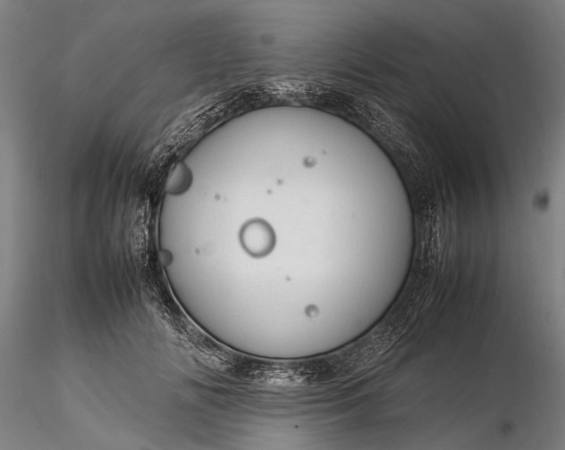 X0000116370702200912161438