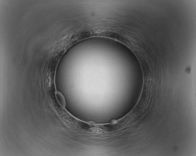 X0000116370703200912161438