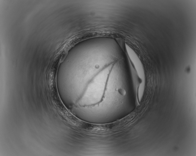 X0000116370708200912161438