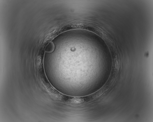 X0000116370711200912161438