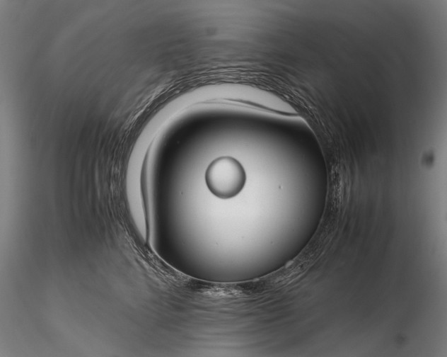 X0000116370712200912161438