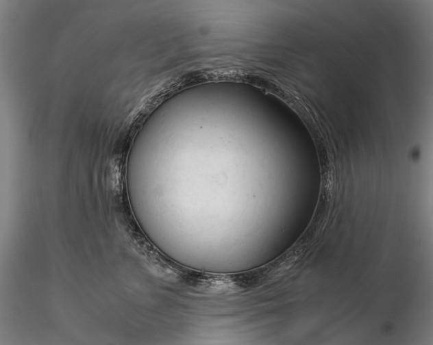 X0000116370715200912161438