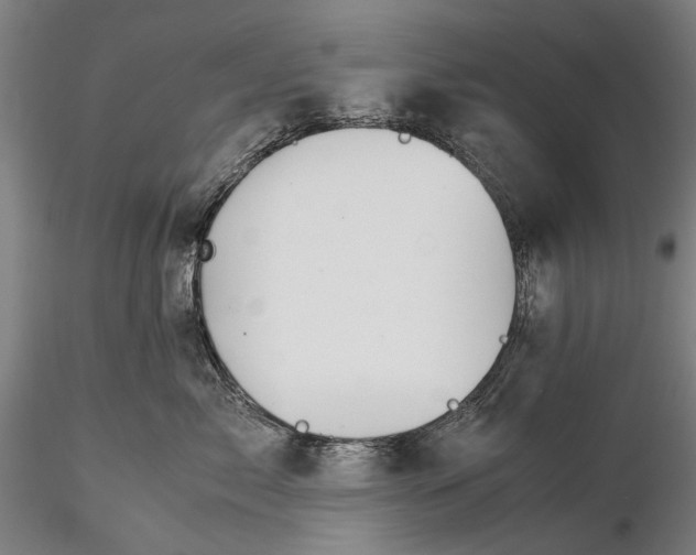 X0000116370717200912161438