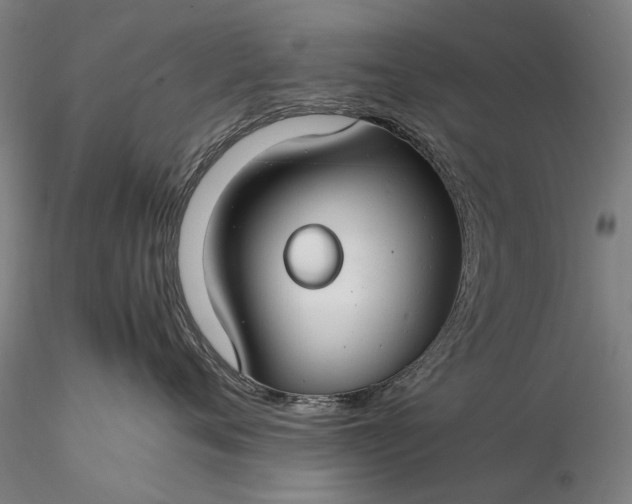 X0000116370720200912161438