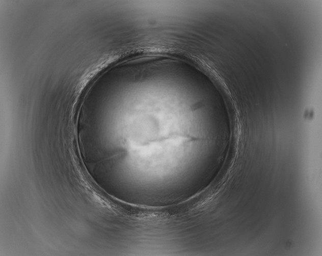 X0000116370721200912161437