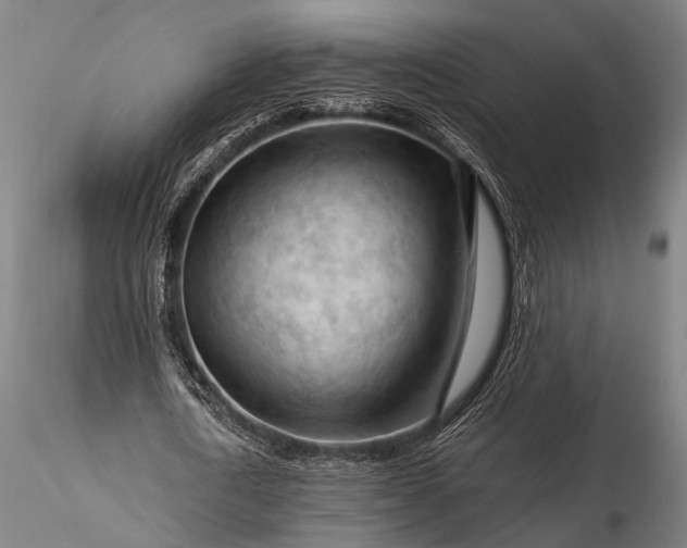 X0000116370722200912161437