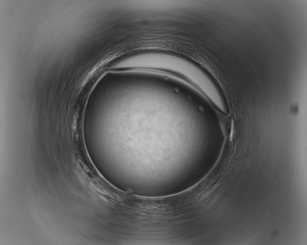 X0000116370723200912161437