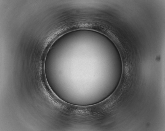 X0000116370725200912161437