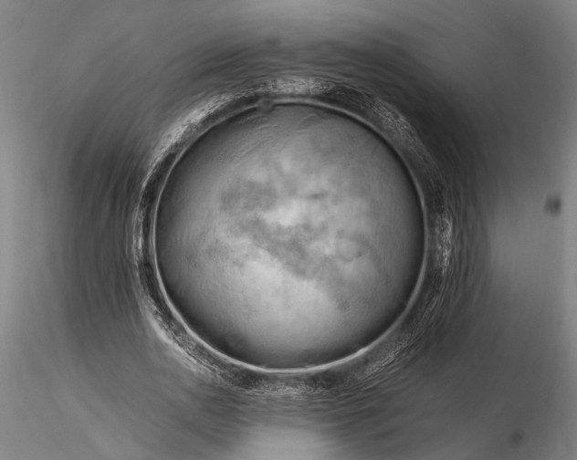 X0000116370726200912161437