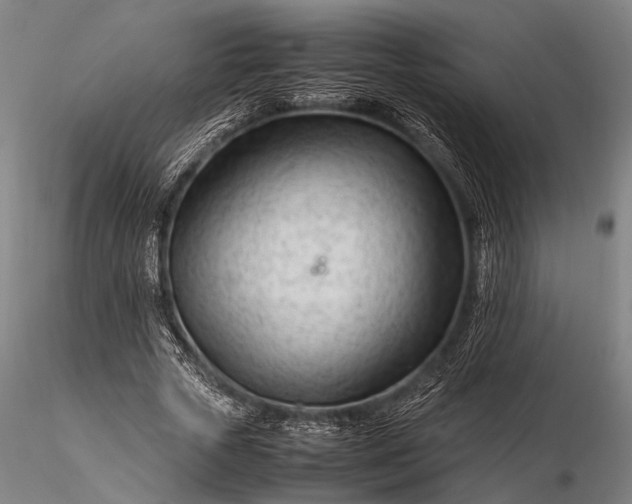 X0000116370729200912161437