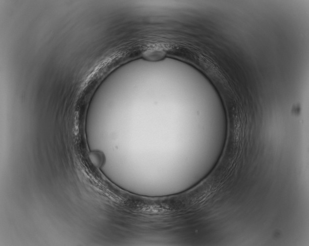 X0000116370731200912161437