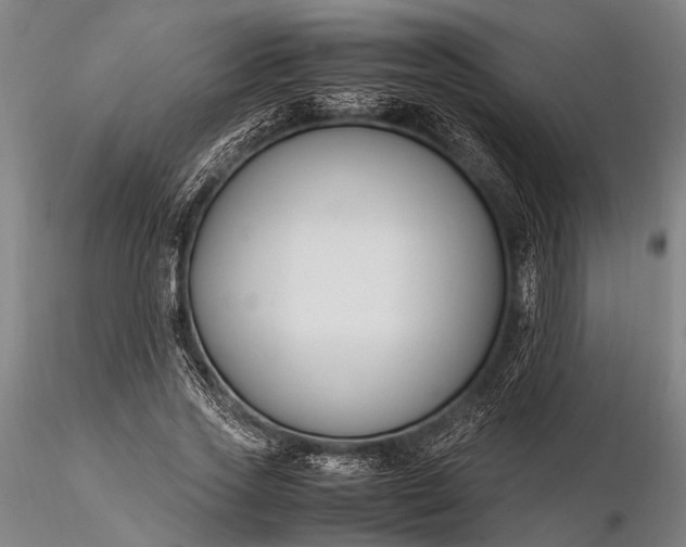 X0000116370733200912161437